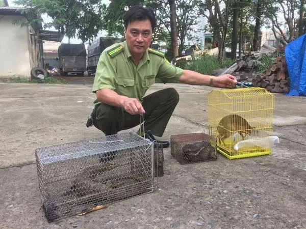 Số động vật được lực lượng kiểm lâm thu giữ sáng ngày 5-5