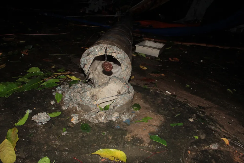 Mưa lớn, hàng loạt cây xanh bật gốc ngã đè nhà dân ở TPHCM ảnh 3