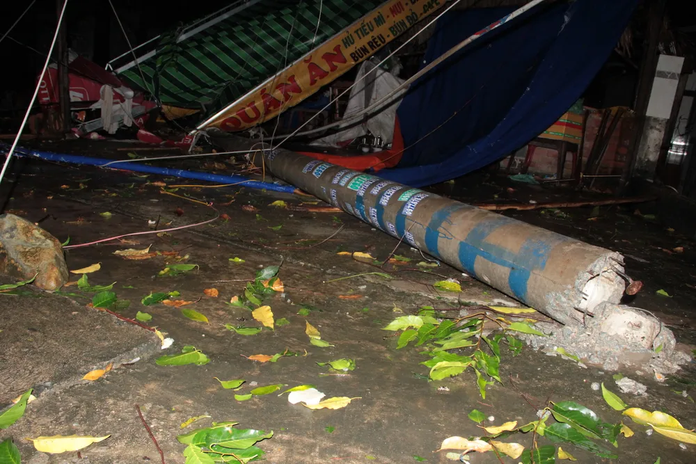 Mưa lớn, hàng loạt cây xanh bật gốc ngã đè nhà dân ở TPHCM ảnh 2