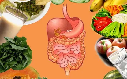 Một số bệnh thường gặp ở người cao tuổi và biện pháp phòng bệnh ảnh 1 Một số bệnh thường gặp ở người cao tuổi và biện pháp phòng bệnh ảnh 1