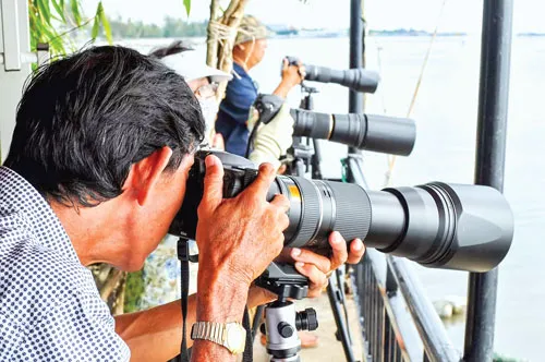 Một buổi chụp ảnh đàn hải âu. Ảnh: T.N Một buổi chụp ảnh đàn hải âu. Ảnh: T.N