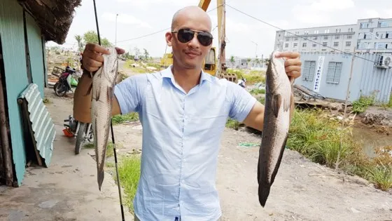 Hấp dẫn câu rê cá lóc vùng ven thành phố ảnh 1