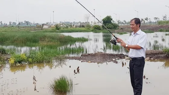 Hấp dẫn câu rê cá lóc vùng ven thành phố ảnh 2