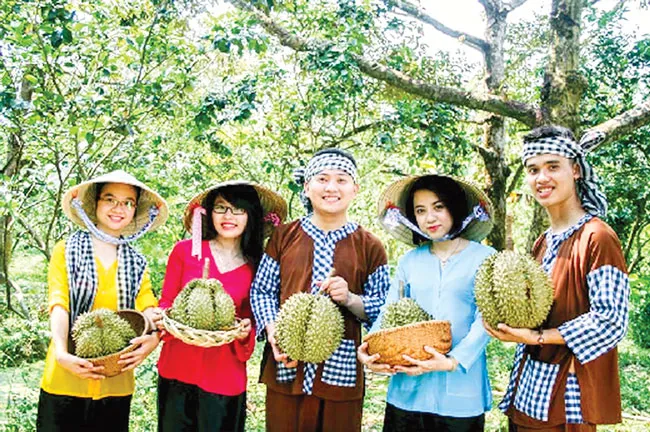 Sầu riêng…không bán tình duyên! ảnh 1 Sầu riêng…không bán tình duyên! ảnh 1