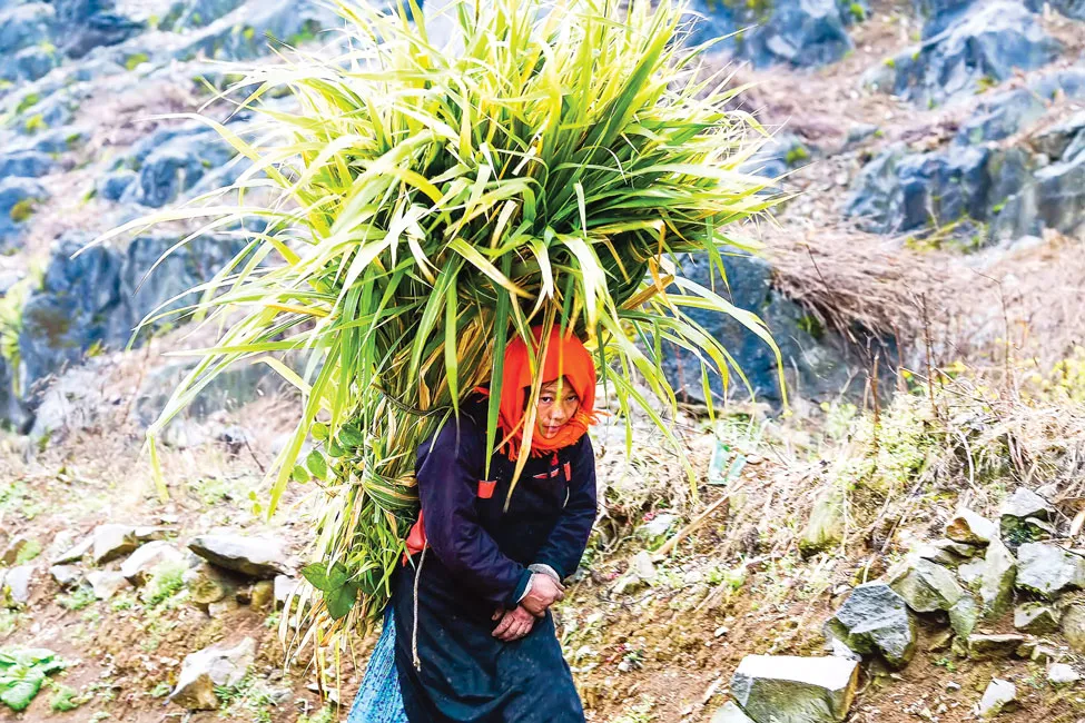 Khoảnh khắc sắc màu Hà Giang ảnh 6 Khoảnh khắc sắc màu Hà Giang ảnh 6