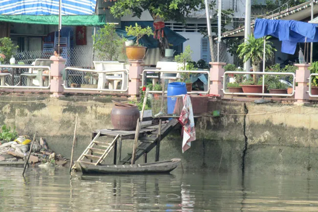 Tái ô nhiễm dự án “lá phổi xanh”