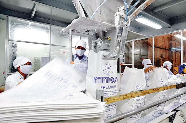 TTC Group và chiến lược thâu tóm toàn diện ảnh 1 TTC Group và chiến lược thâu tóm toàn diện ảnh 1