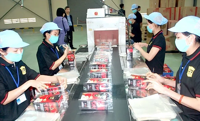 Không nên tận thu bằng VAT ảnh 1 Không nên tận thu bằng VAT ảnh 1