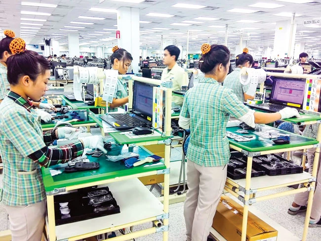 SHTP: Thúc đẩy ươm tạo doanh nghiệp ảnh 1 SHTP: Thúc đẩy ươm tạo doanh nghiệp ảnh 1