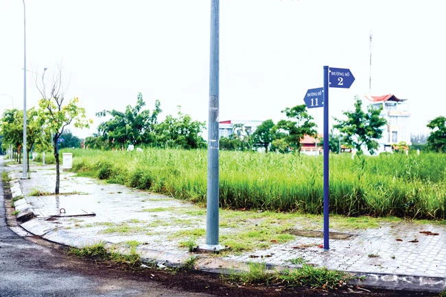 Cân nhắc đánh thuế đất thay vì nhà thứ 2 ảnh 1 Cân nhắc đánh thuế đất thay vì nhà thứ 2 ảnh 1