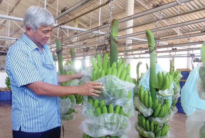 Gập ghềnh vốn, thủ tục