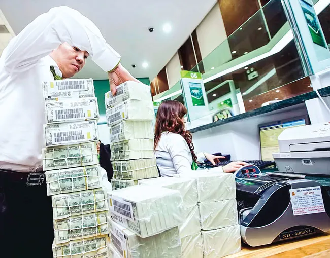 Ranh giới “đỏ” tín dụng ngoại tệ? ảnh 1 Ranh giới “đỏ” tín dụng ngoại tệ? ảnh 1