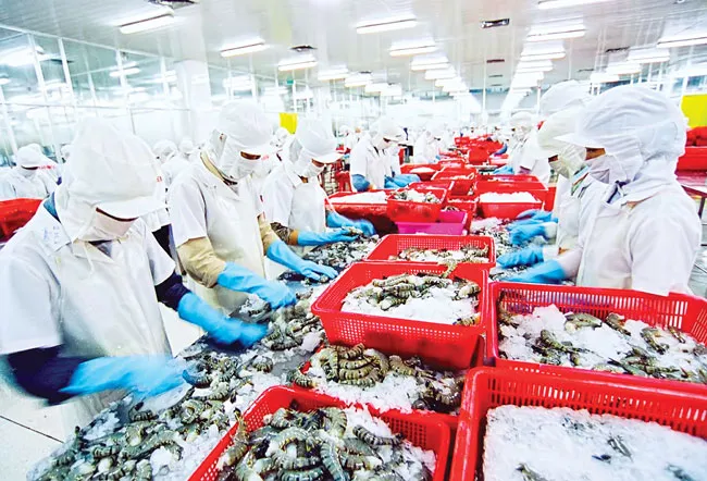 Hành trình ngược của “vua tôm” MPC ảnh 1 Hành trình ngược của “vua tôm” MPC ảnh 1