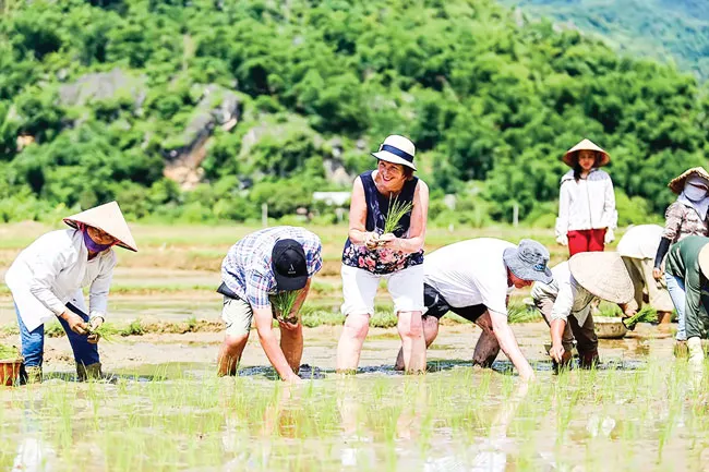 Lắng đọng Mai Châu ảnh 2 Lắng đọng Mai Châu ảnh 2