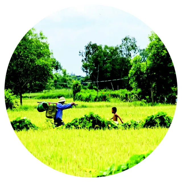 Dzìa miền Tây, ở homestay, nghe đờn ca sông nước - Ảnh 4. Dzìa miền Tây, ở homestay, nghe đờn ca sông nước