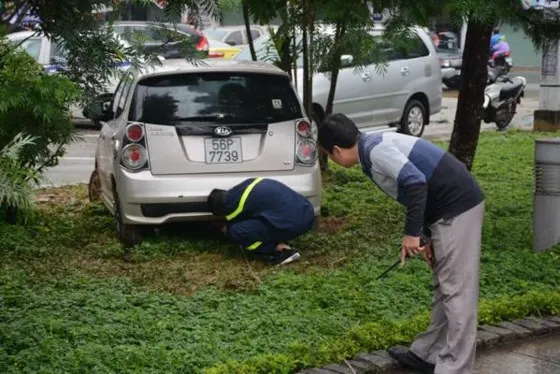 Sẽ xả tràn tự do toàn bộ các hồ chứa nước ảnh 8