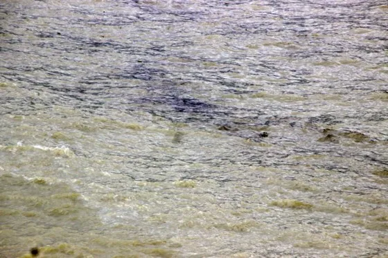 Các tàu hàng bị bão đánh bật đều là tàu “vãng lai” ảnh 4 Các tàu hàng bị bão đánh bật đều là tàu “vãng lai” ảnh 3