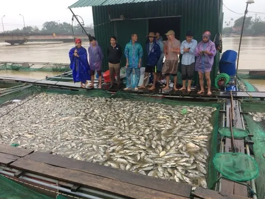 Nước mắt rơi giữa dòng lũ dữ ảnh 5 Nước mắt bên sông Bồ ảnh 4