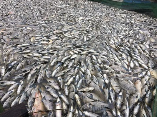 Nước mắt rơi giữa dòng lũ dữ ảnh 2 Nước mắt bên sông Bồ ảnh 1