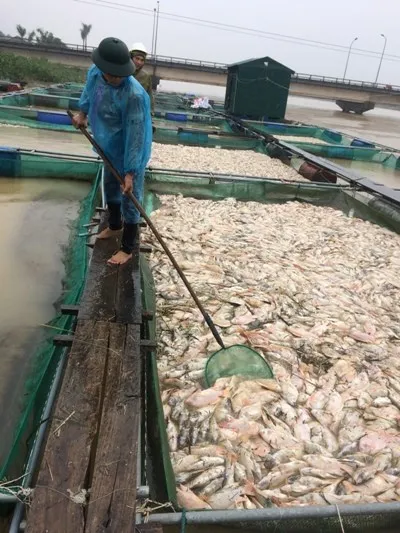 Nước mắt rơi giữa dòng lũ dữ ảnh 6 Nước mắt bên sông Bồ ảnh 5