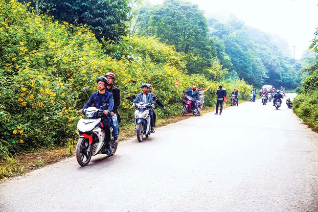 Ba Vì trong muôn sắc hoa ảnh 6 Ba Vì trong muôn sắc hoa ảnh 6
