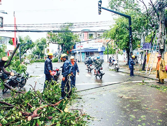 Khánh Hòa, Phú Yên - dồn sức khắc phục hậu quả bão ảnh 2 Khánh Hòa, Phú Yên - dồn sức khắc phục hậu quả bão ảnh 2