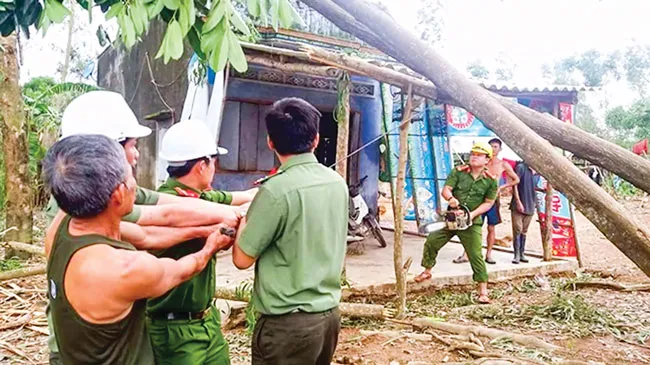 Khánh Hòa, Phú Yên - dồn sức khắc phục hậu quả bão ảnh 4 Khánh Hòa, Phú Yên - dồn sức khắc phục hậu quả bão ảnh 4