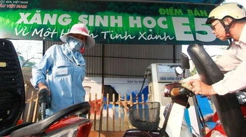 Lận đận xăng sinh học