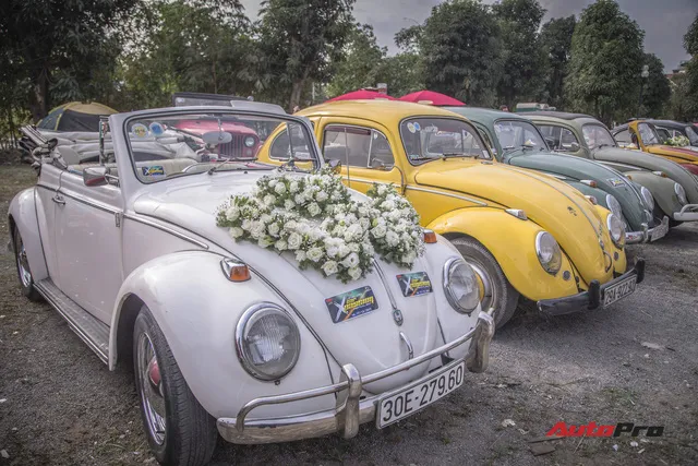 Chiêm ngưỡng dàn bọ già Volkswagen Beetle đủ sắc màu tại Hà Nội - Ảnh 1. Chiêm ngưỡng dàn bọ già Volkswagen Beetle đủ sắc màu tại Hà Nội - Ảnh 1.