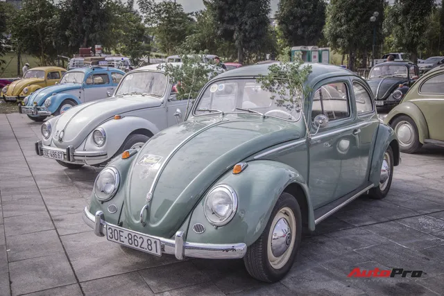 Chiêm ngưỡng dàn bọ già Volkswagen Beetle đủ sắc màu tại Hà Nội - Ảnh 3. Chiêm ngưỡng dàn bọ già Volkswagen Beetle đủ sắc màu tại Hà Nội - Ảnh 3.