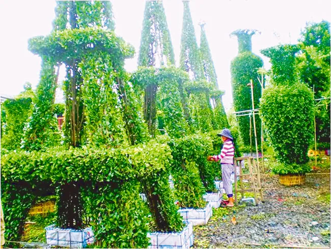 Tạc tượng cho cây ảnh 2 Tạc tượng cho cây ảnh 2