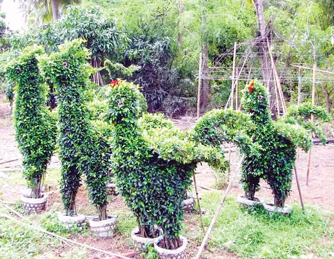 Tạc tượng cho cây ảnh 3 Tạc tượng cho cây ảnh 3