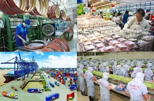 Cuộc chiến chưa hồi kết