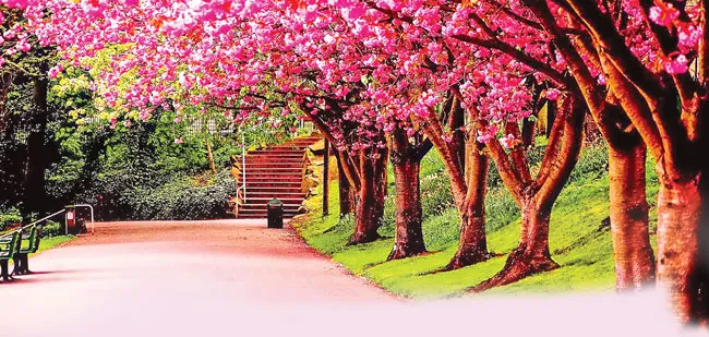 Thong dong từng bước chậm ảnh 1 Thong dong từng bước chậm ảnh 1