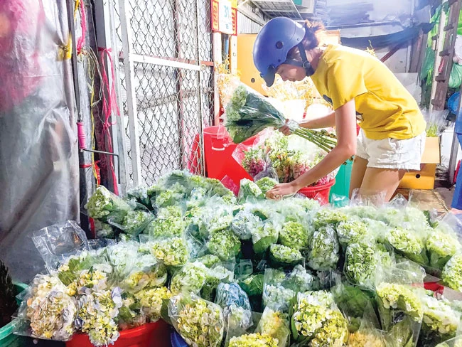 Chợ hoa Hồ Thị Kỷ sôi động mùa Tết ảnh 3 Chợ hoa Hồ Thị Kỷ sôi động mùa Tết ảnh 3