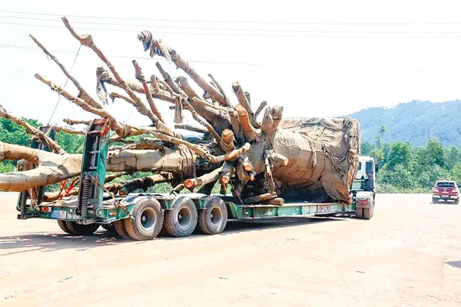 Bí ẩn xe xe “quái thú” ảnh 1 Bí ẩn xe xe “quái thú” ảnh 1