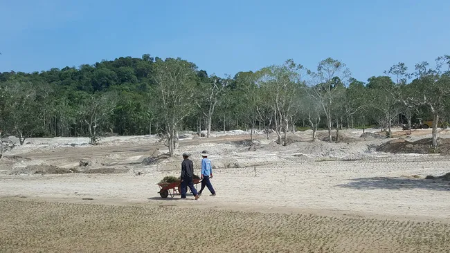 Luật đặc khu chưa ra, giá đất đã sốt