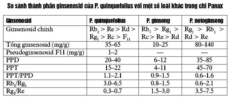 Sâm Hoa Kỳ, dược liệu quý ảnh 4 Sâm Hoa Kỳ, dược liệu quý ảnh 4