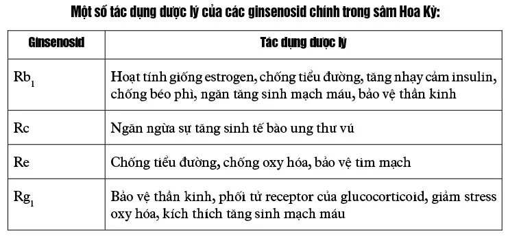 Sâm Hoa Kỳ, dược liệu quý ảnh 3 Sâm Hoa Kỳ, dược liệu quý ảnh 3