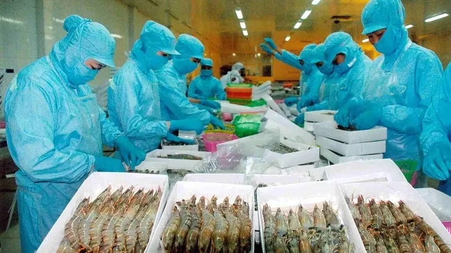Cẩn trọng với hợp đồng
