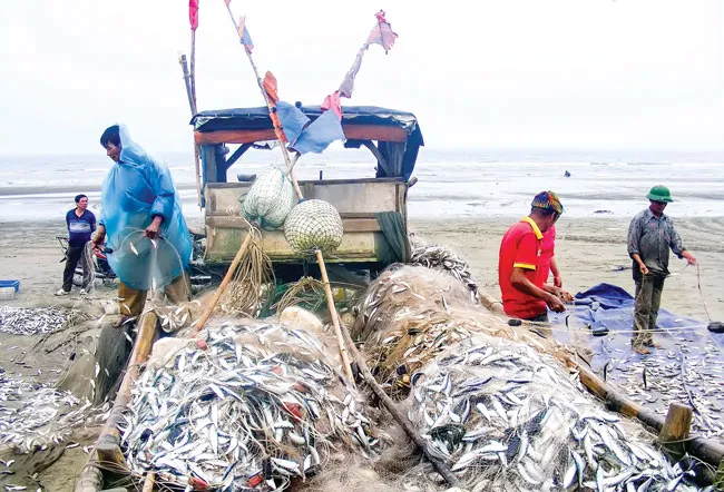 Nhộn nhịp làng biển vào hè ảnh 6 Nhộn nhịp làng biển vào hè ảnh 6