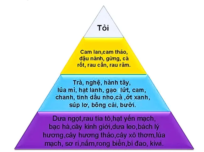 Bài thuốc trị bệnh từ tỏi ảnh 2 Bài thuốc trị bệnh từ tỏi ảnh 2