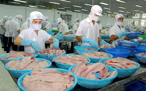 Không thể chậm trễ hơn nữa