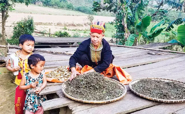 Kỳ 1: Động lực cho những ông lang, bà mế ảnh 1 Kỳ 1: Động lực cho những ông lang, bà mế ảnh 1