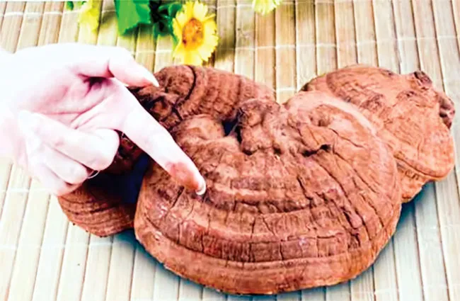 Thanh lọc cơ thể khi nào và bằng gì? ảnh 3 Thanh lọc cơ thể khi nào và bằng gì? ảnh 3