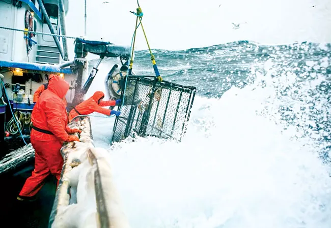 Alaska kho báu nước Mỹ ảnh 10 Alaska kho báu nước Mỹ ảnh 10