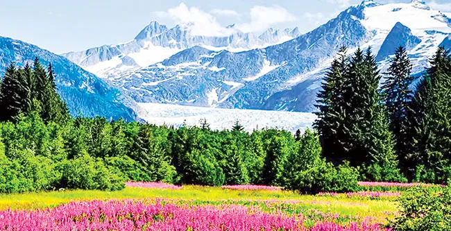 Alaska kho báu nước Mỹ ảnh 3 Alaska kho báu nước Mỹ ảnh 3