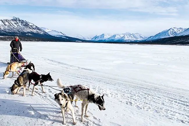 Alaska kho báu nước Mỹ ảnh 9 Alaska kho báu nước Mỹ ảnh 9