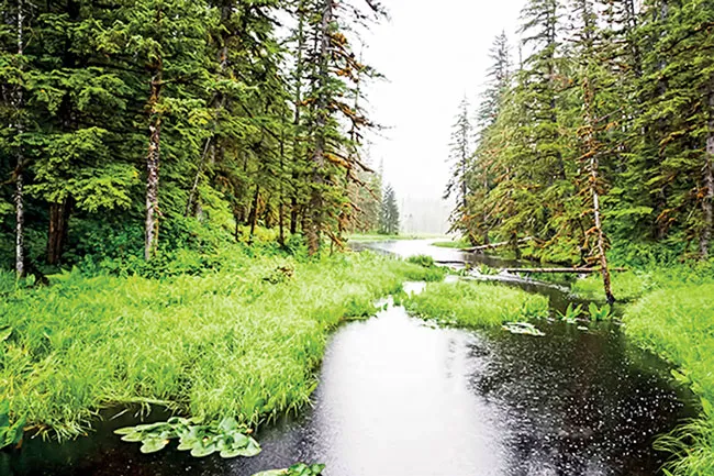 Alaska, điểm du lịch hấp dẫn ảnh 3 Alaska, điểm du lịch hấp dẫn ảnh 3