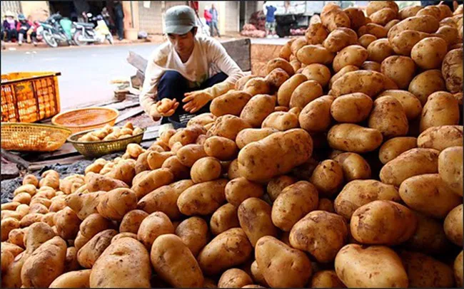 Một tỷ đồng có làm nên chuyện?